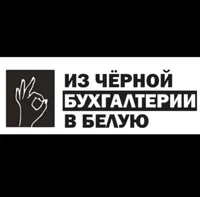 Из Черной Бухгалтерии в Белую — превью 1